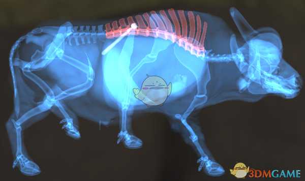 《猎人：荒野的呼唤》欧洲野牛＆水牛步枪速杀攻略