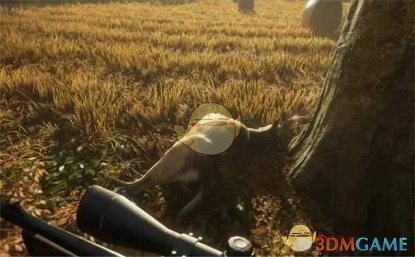 《猎人：荒野的呼唤》一群猎物一窝端方法介绍