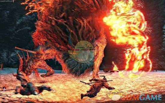 《只狼：影逝二度》金刚屑作用分析