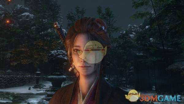 《只狼：影逝二度》秘籍的分类和介绍