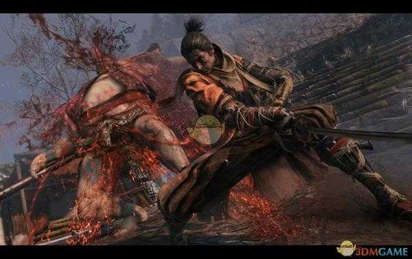 《只狼：影逝二度》战斗残滓相关分析归纳