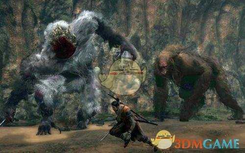 《只狼：影逝二度》战斗残渣介绍之狮子猿