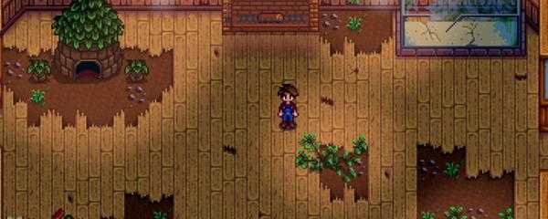 星露谷物语小黑剧情