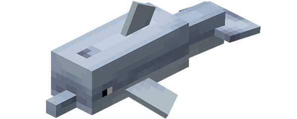 我的世界海豚怎么喂