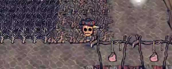 饥荒远古犀牛会刷新吗