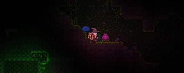 泰拉瑞亚世纪之花在哪