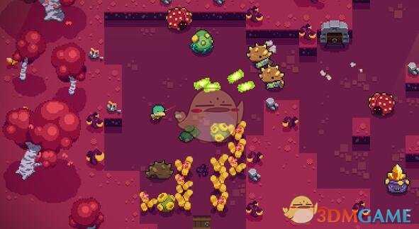 《炽热鸟喙（Blazing Beaks）》Black Potato黑色土豆效果介绍