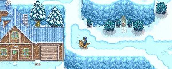 星露谷物语雪山药在哪里