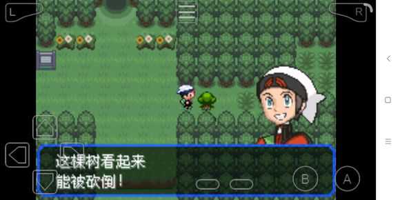 究极绿宝石3mega石地点