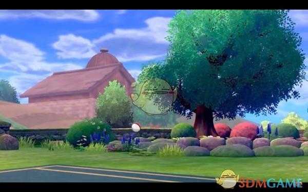 《精灵宝可梦：剑/盾》直面会内容汇总