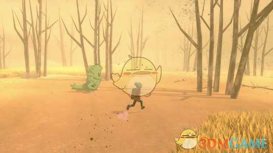 《精灵宝可梦：剑/盾》旷野地带介绍