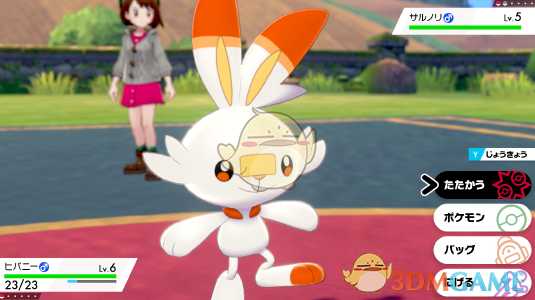 《精灵宝可梦：剑/盾》火系御三家炎兔儿简介