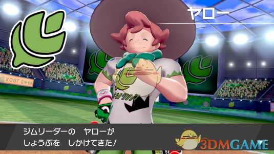 《精灵宝可梦：剑/盾》草系道馆馆主介绍