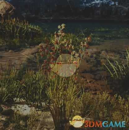 《往日不再》灯芯草收集地点与外形一览