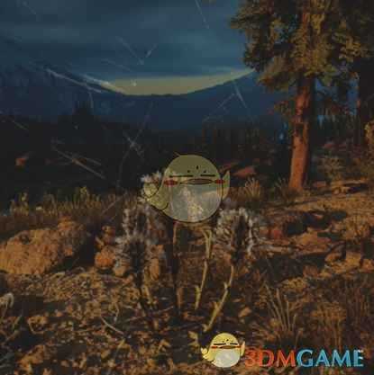 《往日不再》款冬收集地点与外形一览