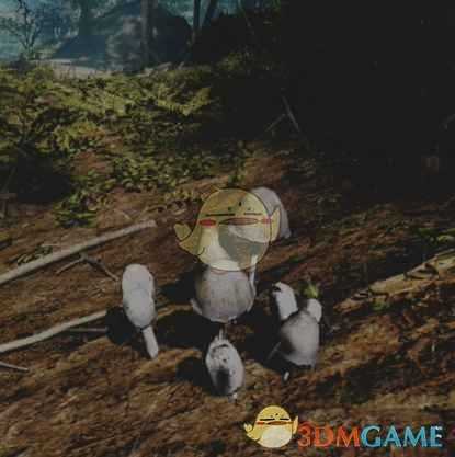 《往日不再》鬼笔收集地点与外形一览