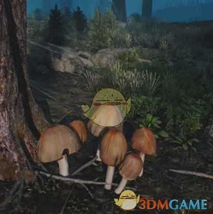 《往日不再》云母帽收集地点与外形一览