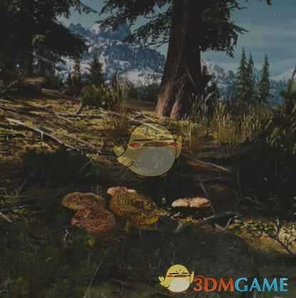 《往日不再》鳞刺猬收集地点与外形一览