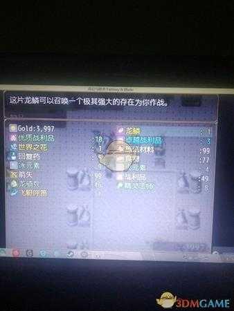 《奇幻与砍杀》向龙王许愿奖励一览