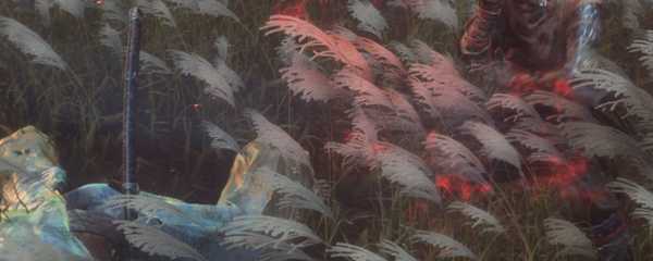 只狼干柿子有什么用