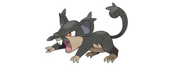 阿罗拉拉达配招