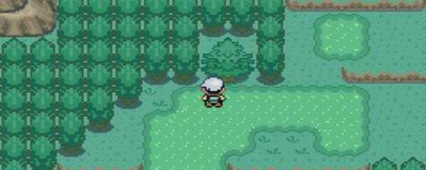 究极绿宝石暗黑洛奇亚配招