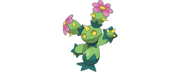 沙铃仙人掌配招