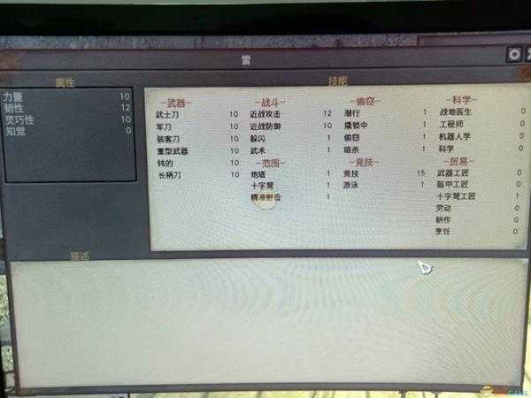 《剑士》特殊队友雷属性一览