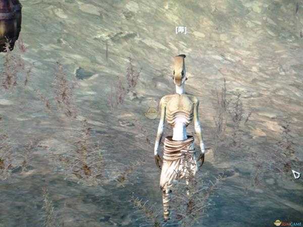 《剑士》特殊队友哔噗长相分享