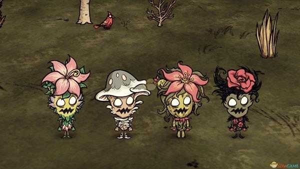 《饥荒：联机版》沃姆伍德豪华箱子内容一览