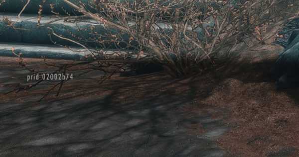 上古卷轴5瑟拉娜不见了