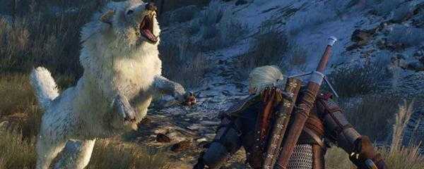 巫师3的昆特牌怎么获得