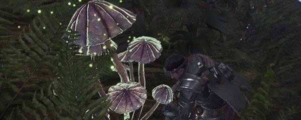 怪物猎人世界17号营地