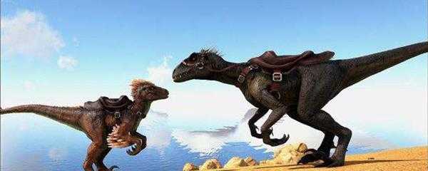 方舟迅猛龙吃什么饲料