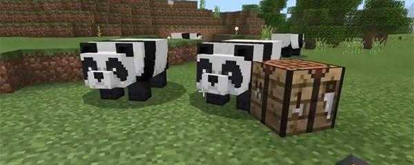 我的世界熊猫能驯服吗