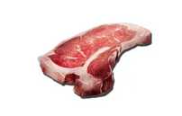 方舟生存进化自制食谱