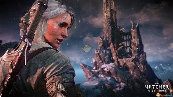 《巫师3：狂猎》武器屠夫披肩代码分享