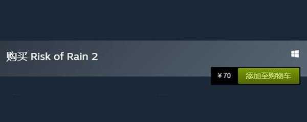 steam雨中冒险2多少钱