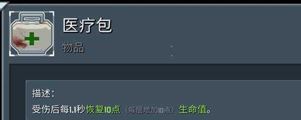 雨中冒险2剑圣自焚流怎么玩