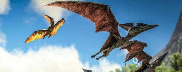 方舟邓氏鱼有什么用