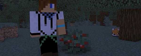 我的世界甜浆果有什么用