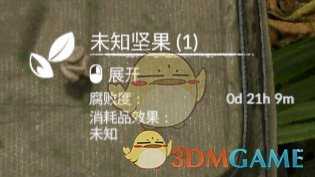 《绿色地狱》巴西坚果食用效果一览