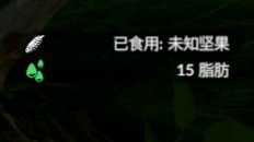 《绿色地狱》坚果食用效果一览