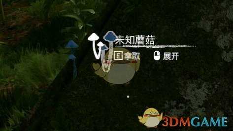 《绿色地狱》蓝蘑菇食用效果一览