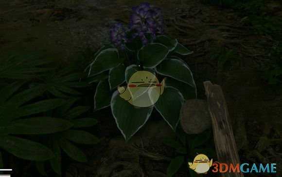 《绿色地狱》百合叶食用效果一览