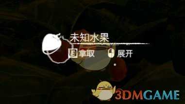 《绿色地狱》橘子食用效果一览