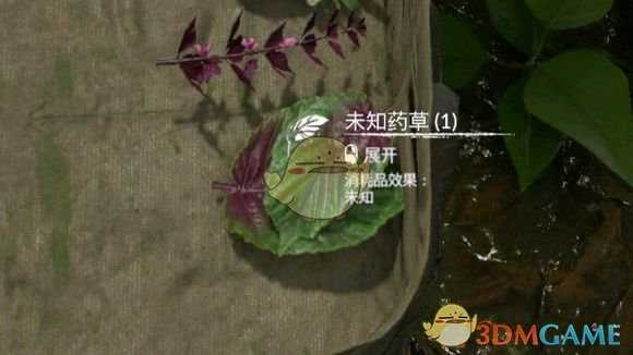 《绿色地狱》蔊菜食用效果一览