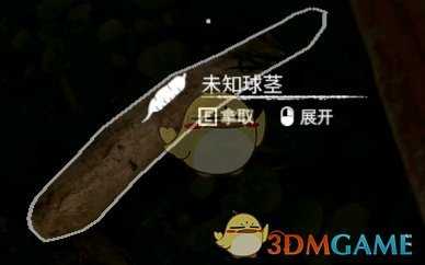 《绿色地狱》木薯食用效果一览