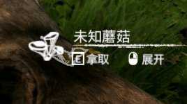 《绿色地狱》黄绿蘑菇食用效果一览