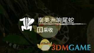 《绿色地狱》南美洲响尾蛇食用效果一览